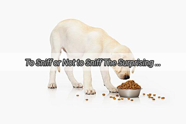 To Sniff or Not to Sniff The Surprising Truth About Expired Sesame Seed Powder for Dogs